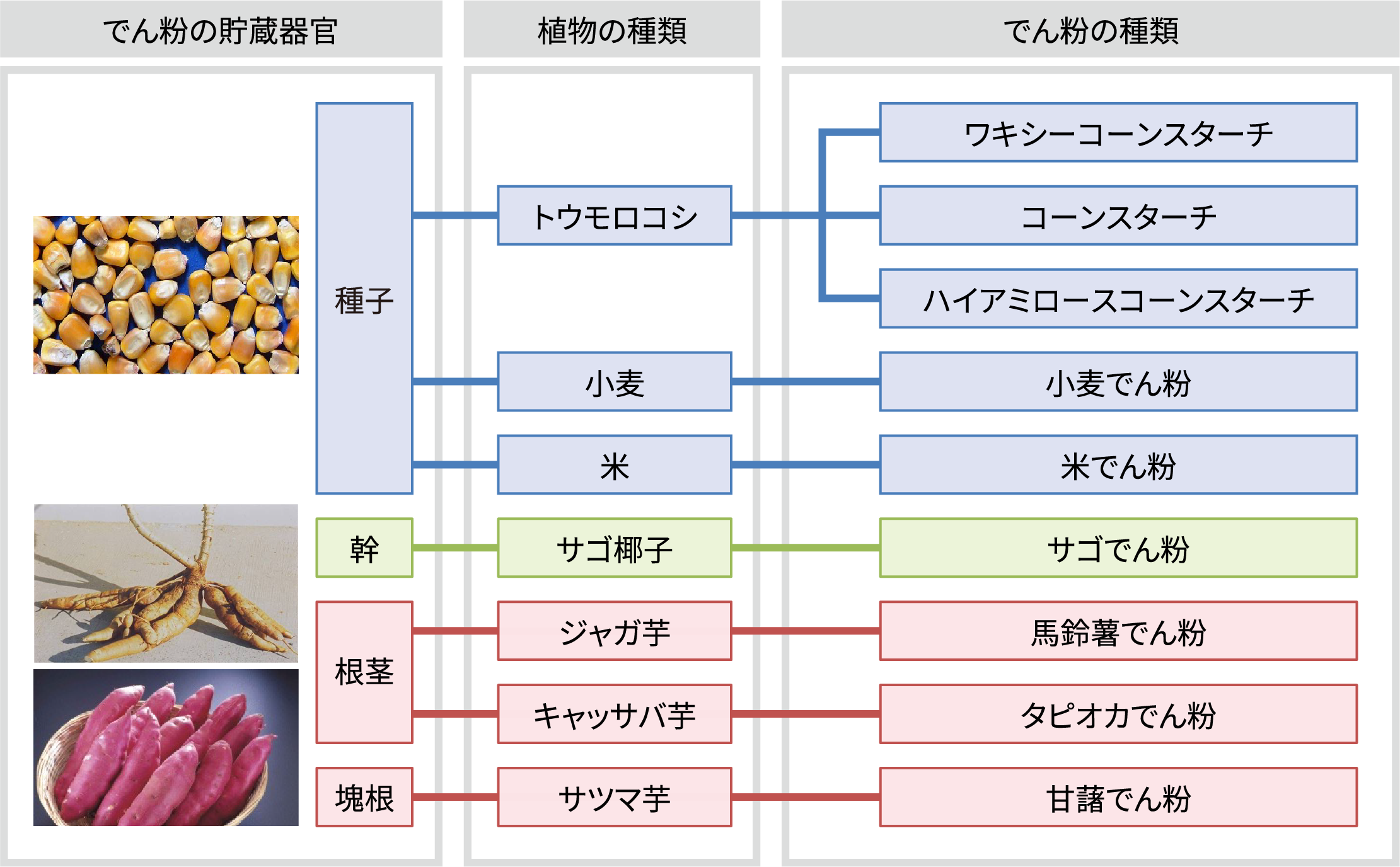 工業的に生産されているでん粉|でん粉について|でん粉と糖の基礎知識